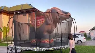 Слон на батуте Hasttings