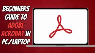 How to Open PDF Files in Adobe Acrobat Reader