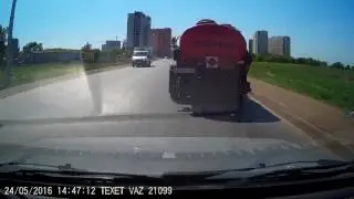 Верблюд сбежал из зоопарка