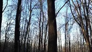 Юркае чудо!