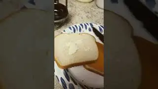 Making a yummy sandwich! 😋 