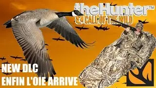 THEHUNTER COTW - PRÉSENTATION DU DLC OIES BERNACHES DU CANADA