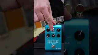 Let's hear the Ensemble Mode on the Strymon Cloudburst! #shorts