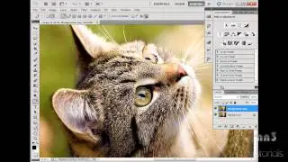Photoshop - Saturation no2