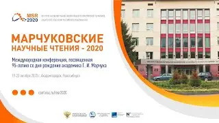 Международная конференция 