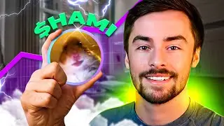 Running a Multi-Million Dollar Solana Meme Coin Project ($HAMI Update 14)