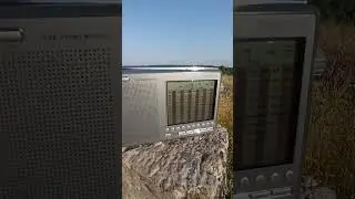 CQ  RG0A на 14 мгц
