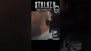 #сталкер