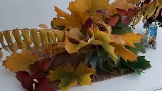 КАЛИНИНГРАД! ОСЕНЬ В МОЕЙ КВАРТИРЕ!