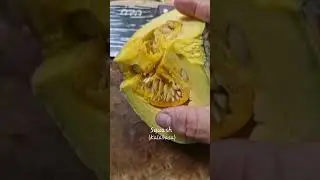 Ginisang Kalabasa, sitaw sa bagoong alamang at baboy..#DenSHOWTV