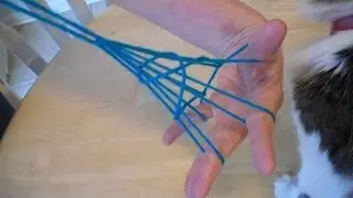 Fish Trap string figure tutorial