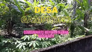 DESA GAMPLONG #2  - SUASANA LINGKUNGAN PEDESAAN