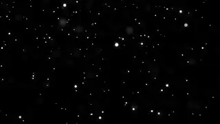 Snow Falling Black Screen Effect, Background Video, Green Screen
