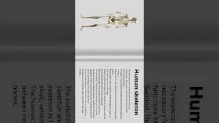 Create a unique animated flipping book animation #shorts