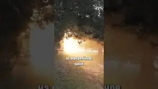 Не Привязывайся к Этому Миру | #психология #религия #жизнь