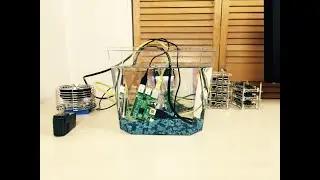 Can a Raspberry Pi Swim?