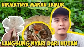 cara masak tumis jamur tiram