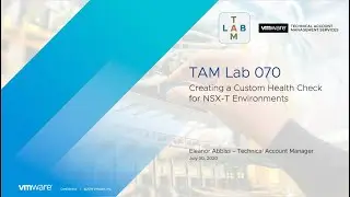 TAM Lab 070 - Creating a Custom Health Check for NSX-T Environments