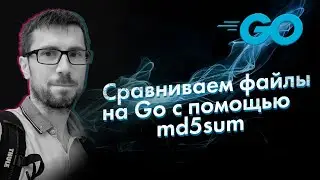 [Go] Модуль md5. Сравниваем файлы на Go с помощью md5sum [язык программирования Go]