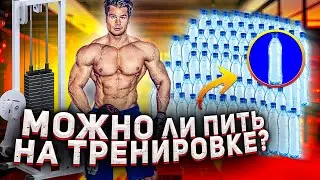 Is it okay to DRINK WATER during a TRAINING session?