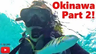 Diving And Eating | Okinawa Part 2 | Eden Ang