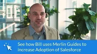 Merlin Guides
