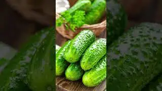 Огурцы для ландшафтного дизайна