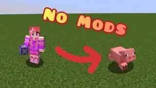 How to Look Like Any Mob in Vanilla Minecraft!