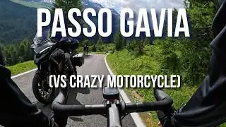 Passo Gavia da Bormio  - Cycling in Italy