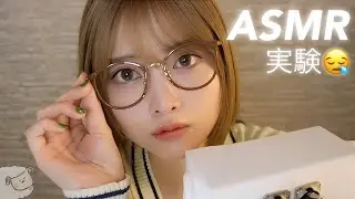 【ASMR/Whispering】Count sheep by “prime numbers”.
