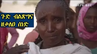 Mestyat Betna | ዓለም ሸለል ዝበለቶ መከራ  ሰላማውያን ሰባትን ጉድ ብልጽግና ዘቃለዐ ሰነድን እንክቕላዕ