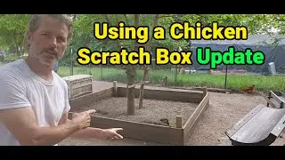 Using A Chicken Scratch Box Update