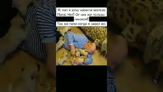 Очень добрый мем☺️❤️ #мем #video #жиза #добрый #мопсы
