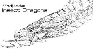Sketching insect dragons // Digital painting no.135