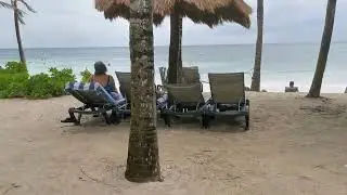 #funny #funnyvideo #fun #funnyshorts #birds #birdwatching #bird #vacation #mexico #beach