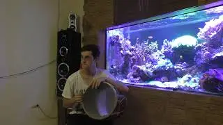 AMAN AMAN НА БАРАБАНЕ