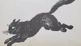 Почему карты таро работают не у всех ?