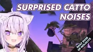 Pekora The Treasure Hunter, Okayu Surprised, Koro-san 'Sea Chicken', Luna Surprised