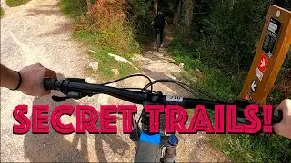 Europe Trip | Episode 5 Haldon bike park