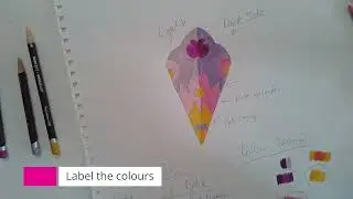 Designing the Mandala