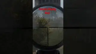 This is the best sniper for console players in DayZ - Mosin