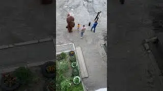 Приключения Чебурашки на севере#врекомендации#song#медведь#nature #wildlife#travel #funnyvideo#funny