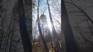 19 апреля 2024 г.