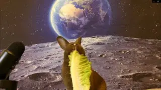 One Small Veggie For Bun,One Giant Leaf For Bun-kind ASMR