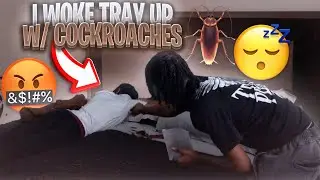 I WOKE TRAY UP WITH COCKROACHES IN HIS BED 🤯🪳