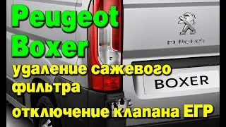 Peugeot Boxer: удаление сажевого фильтра (DPF), отключение клапана ЕГР (EGR)