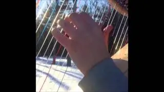 It's mesmerizing the way these harp strings move