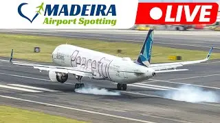 LIVE Action at Madeira Island Airport 07.11.2025