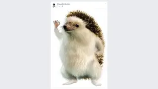I Really, Really, Really Like This Image