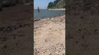 Эксгибиционист на пляже Рыбзавода